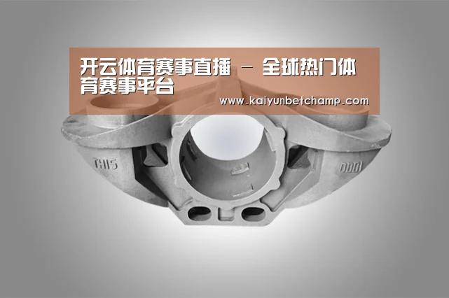 产品展示标题三