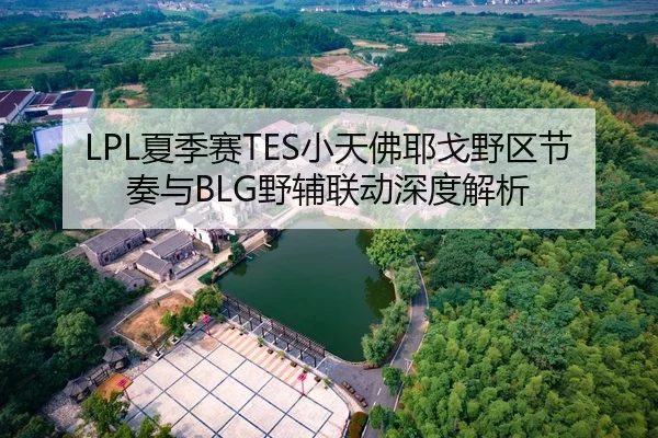 LPL夏季赛TES小天佛耶戈野区节奏与BLG野辅联动深度解析