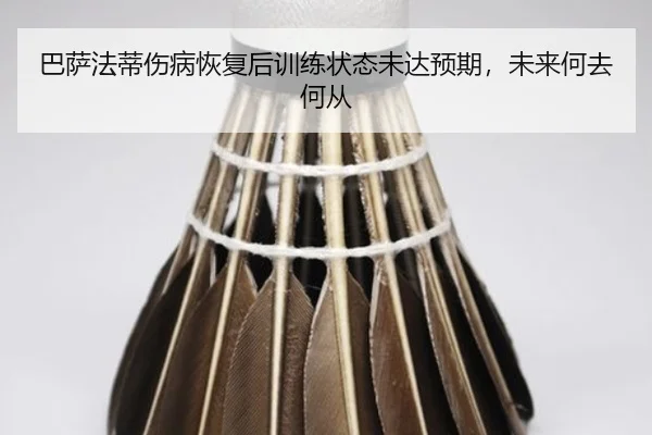 ba-sa-fa-di-shang-bing-hui-fu-hou-xun-lian-zhuang-tai-wei-da-yu-qi-wei-lai-he-qu-he-cong-2-153.jpg