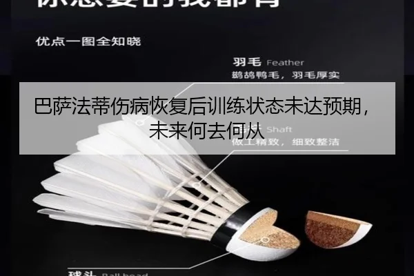 ba-sa-fa-di-shang-bing-hui-fu-hou-xun-lian-zhuang-tai-wei-da-yu-qi-wei-lai-he-qu-he-cong-3-306.jpg