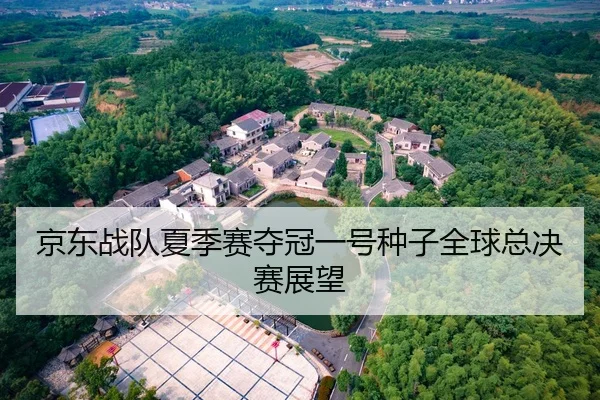 京东战队夏季赛夺冠一号种子全球总决赛展望