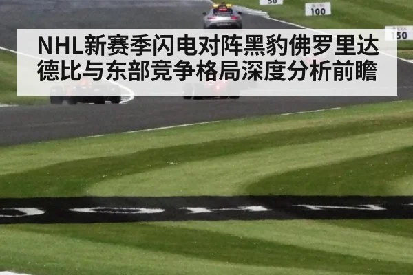 NHL新赛季闪电对阵黑豹佛罗里达德比与东部竞争格局深度分析前瞻